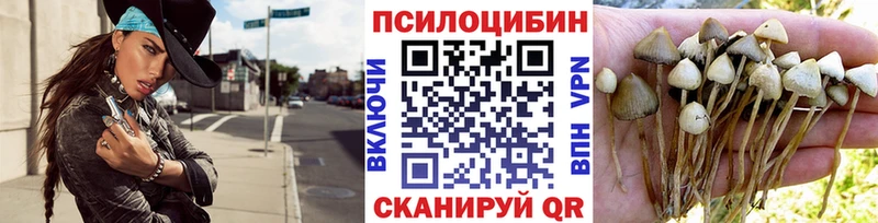 Галлюциногенные грибы мицелий  где купить наркоту  Сургут 