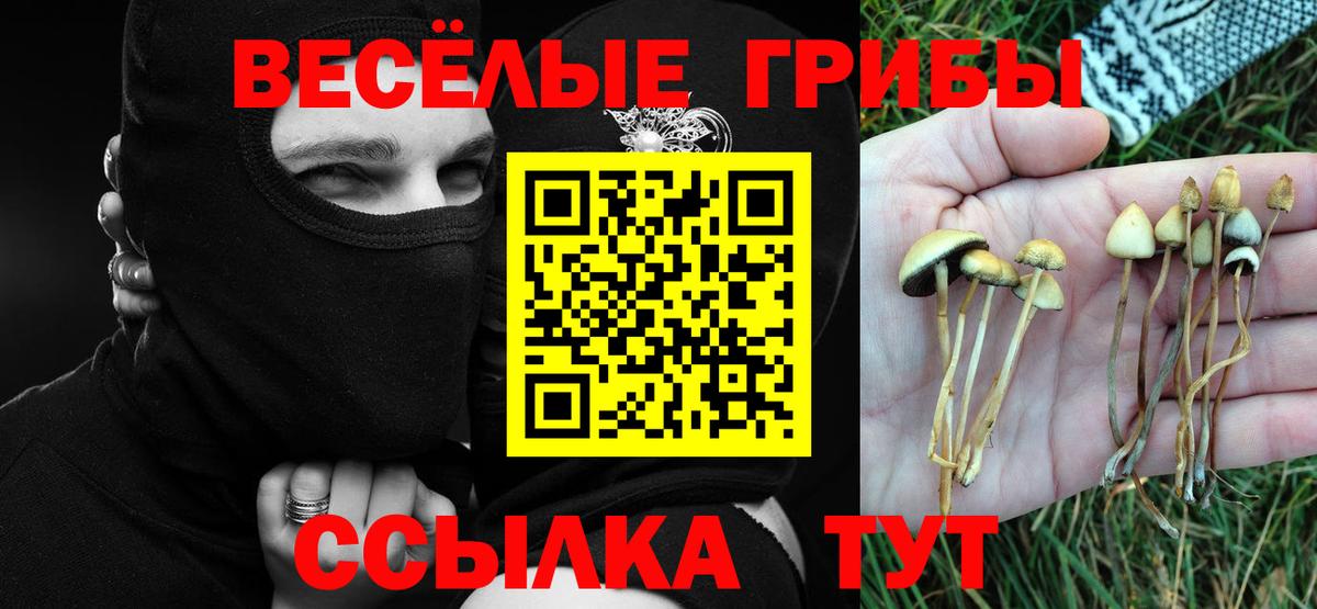 Галлюциногенные грибы Cubensis  Вход с VPN  Сургут 