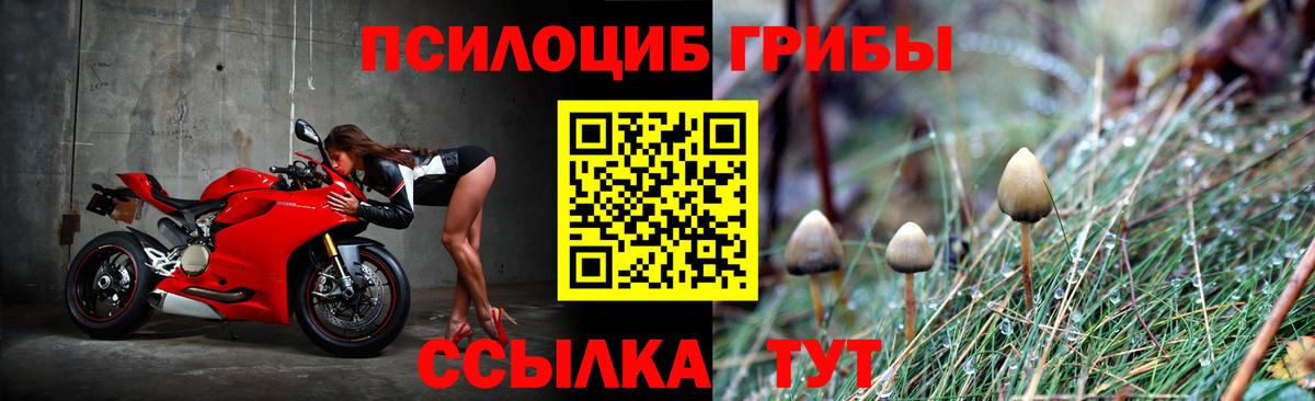 ГАШ  Сургут  Бошки Шишки  КОКАИН  Вход с VPN  МЕФ кристаллы  ГАШИШ 